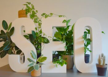 Boosting your Escort Business: A Look at Escort SEO