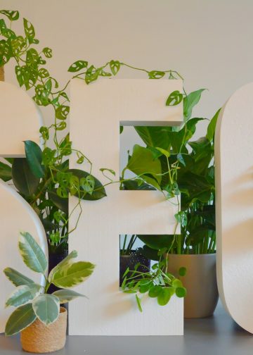 Boosting your Escort Business: A Look at Escort SEO