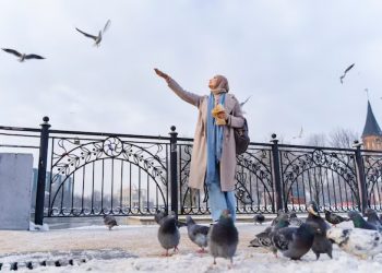 Exploring the Vibrant Neighborhoods of Istanbul: Kadıköy, Şişli, Bakırköy, and Beylikdüzü