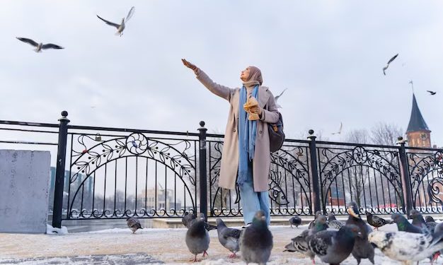 Exploring the Vibrant Neighborhoods of Istanbul: Kadıköy, Şişli, Bakırköy, and Beylikdüzü