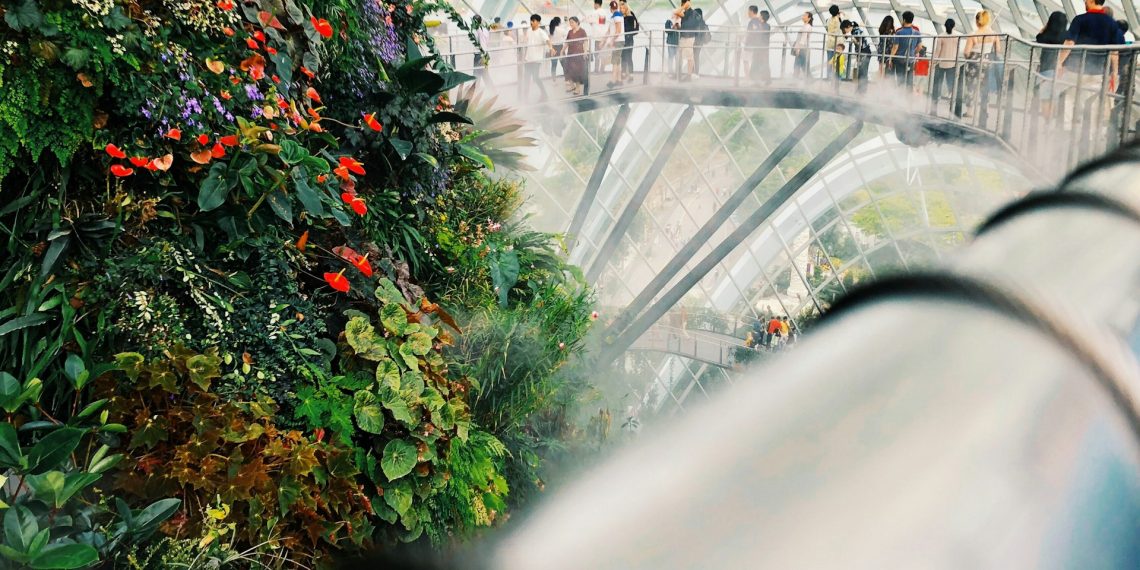 How to Secure Your Child’s Future in Singapore as a Foreigner