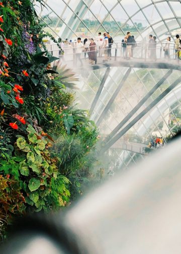 How to Secure Your Child’s Future in Singapore as a Foreigner