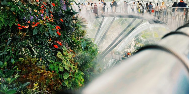 How to Secure Your Child’s Future in Singapore as a Foreigner