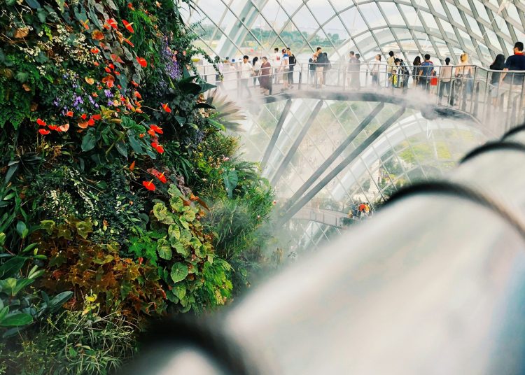 How to Secure Your Child’s Future in Singapore as a Foreigner