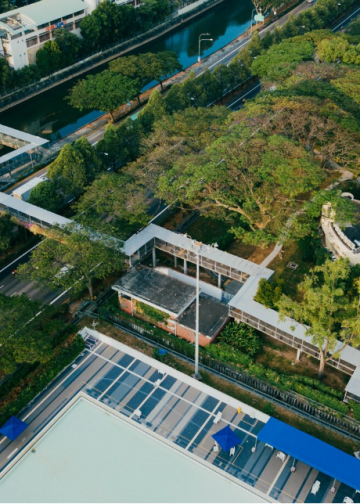 How Construction Mats in British Columbia Support a Greener, More Sustainable Future