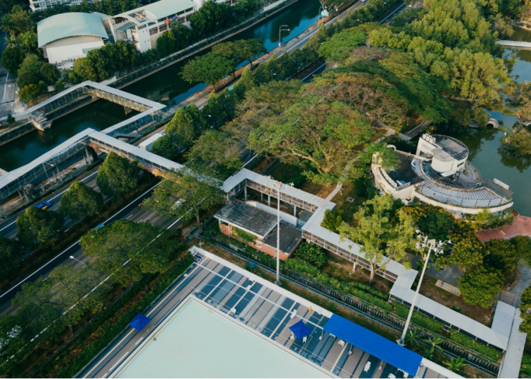 How Construction Mats in British Columbia Support a Greener, More Sustainable Future