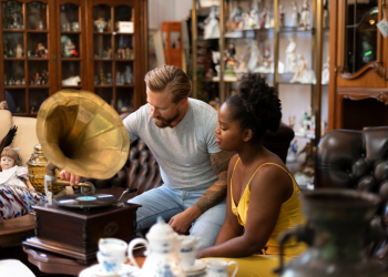 The Royal Archives: Using the Self-Help FAQ Resource at RAJA4D