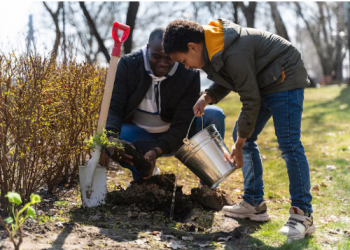 How to Create a Low-Maintenance Landscape That Works in Butler County Weather