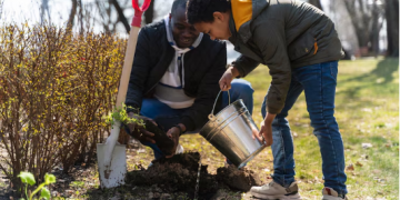 How to Create a Low-Maintenance Landscape That Works in Butler County Weather